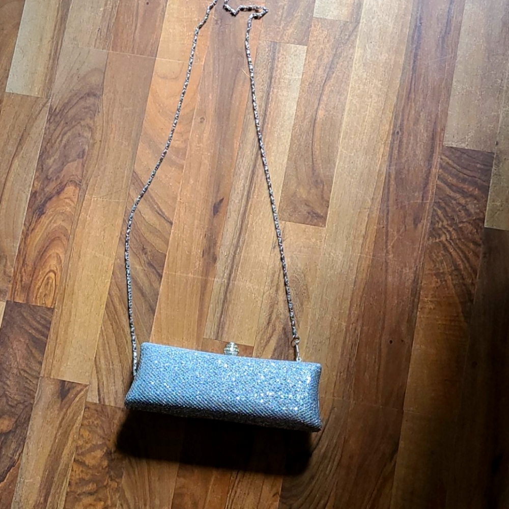 Dress purse silver sparkles